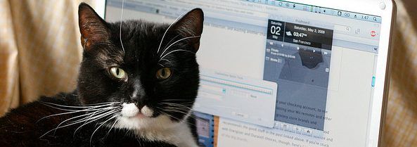 月100万円稼ぐ方法 をリアルに考える 現実的に稼げる７つの方法をまとめてみた 副業クエスト100